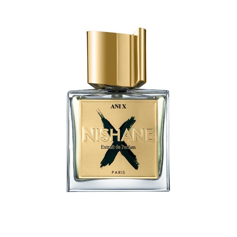 Ani X